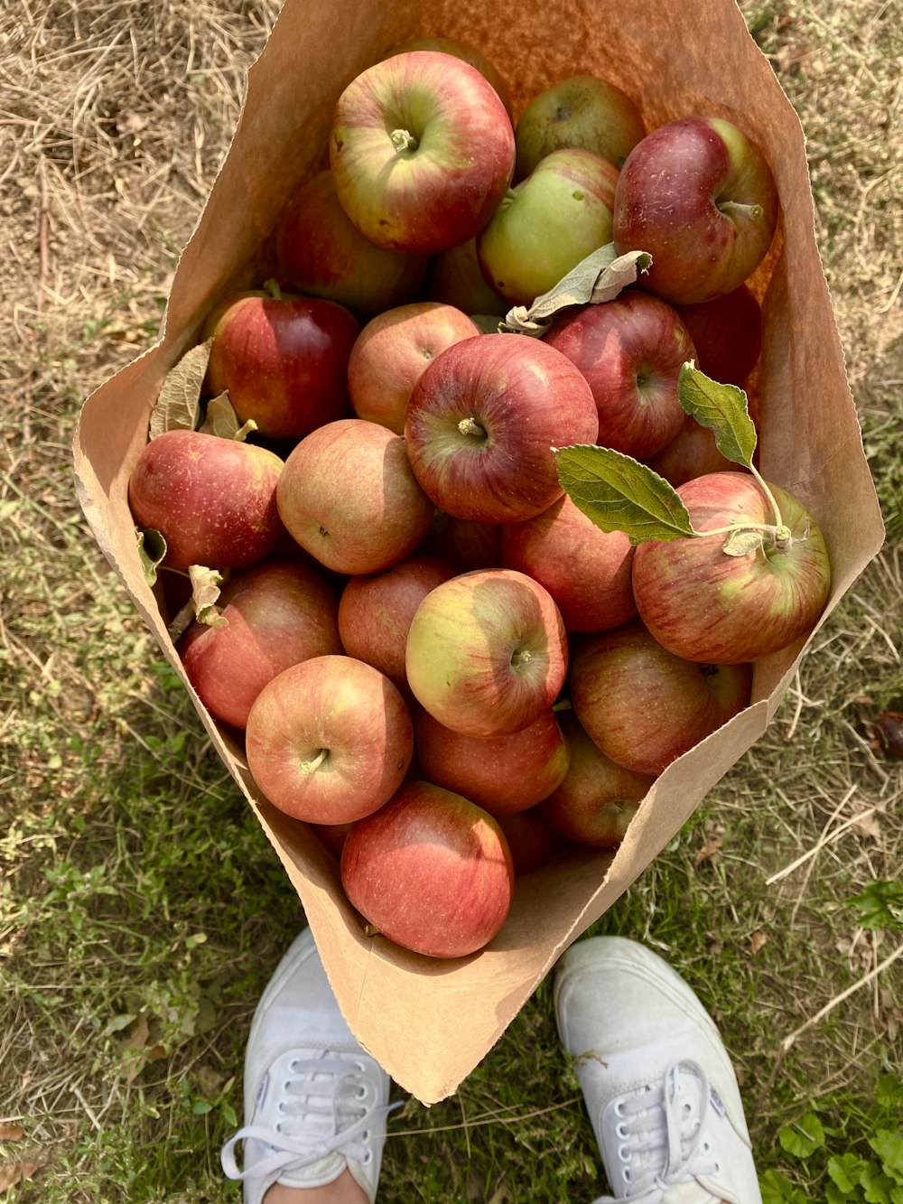 manzanas rojas en caja de madera marrón