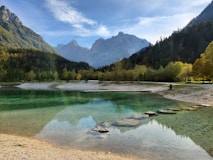 green trees near lake under blue sky during daytime