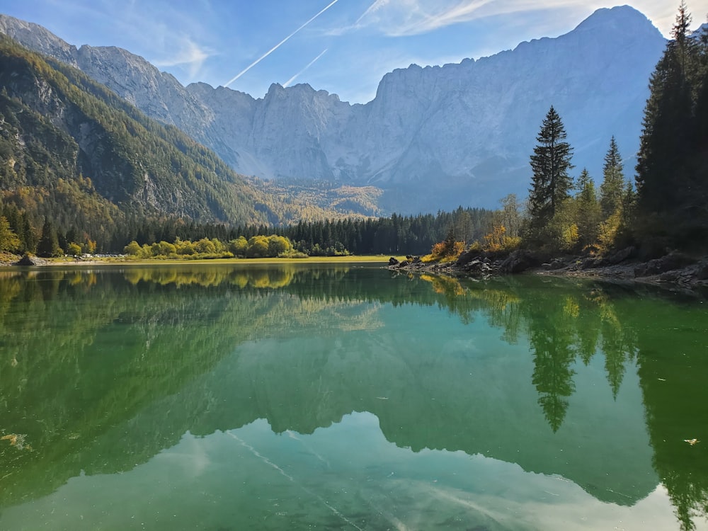 green trees near lake and mountains during daytime