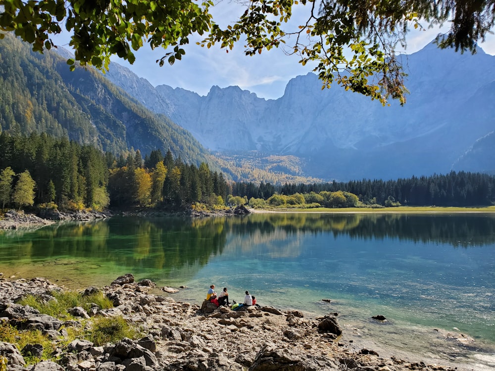 Árboles verdes cerca del lago y la montaña durante el día