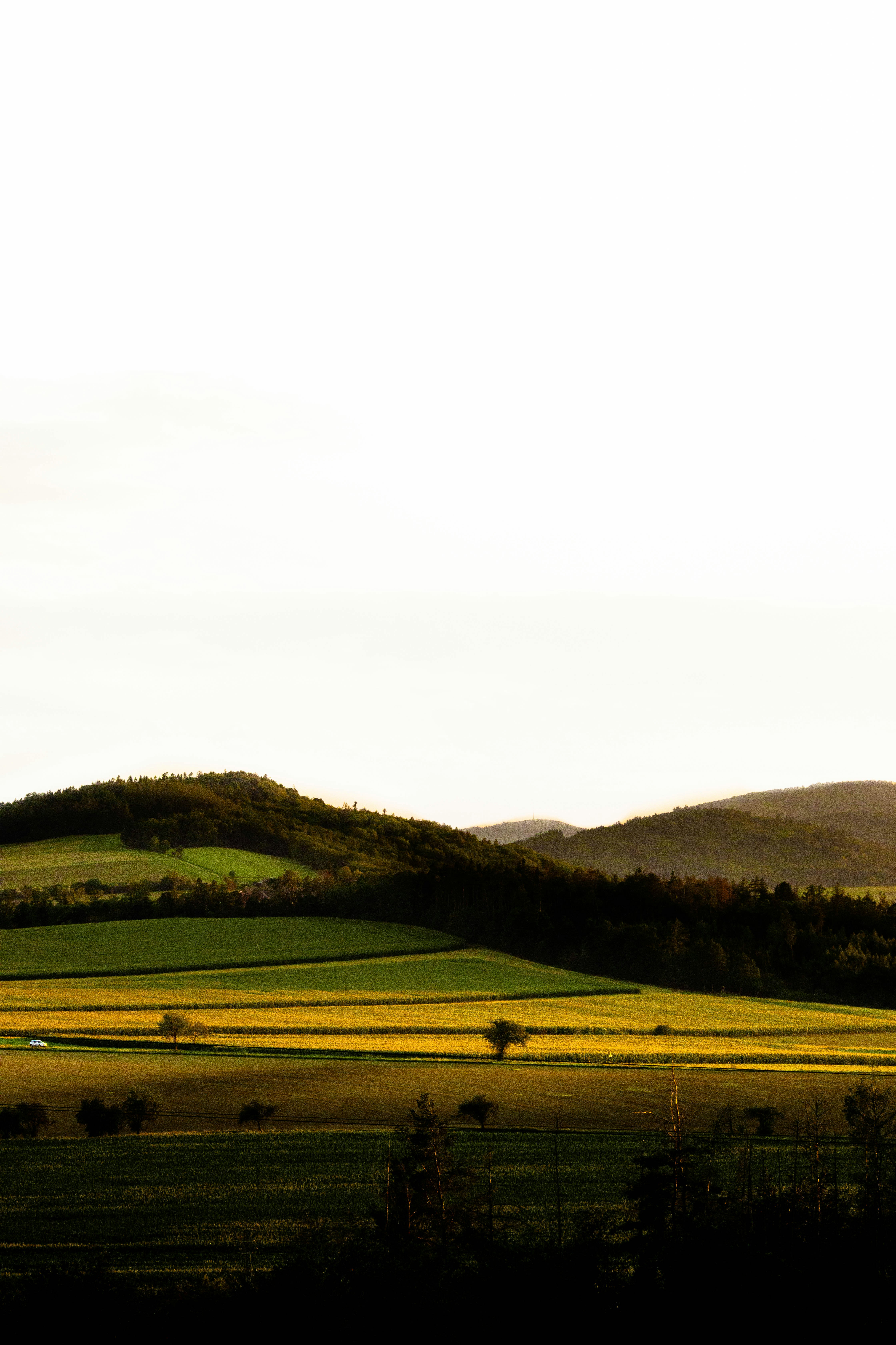 Photo by _king_louie_