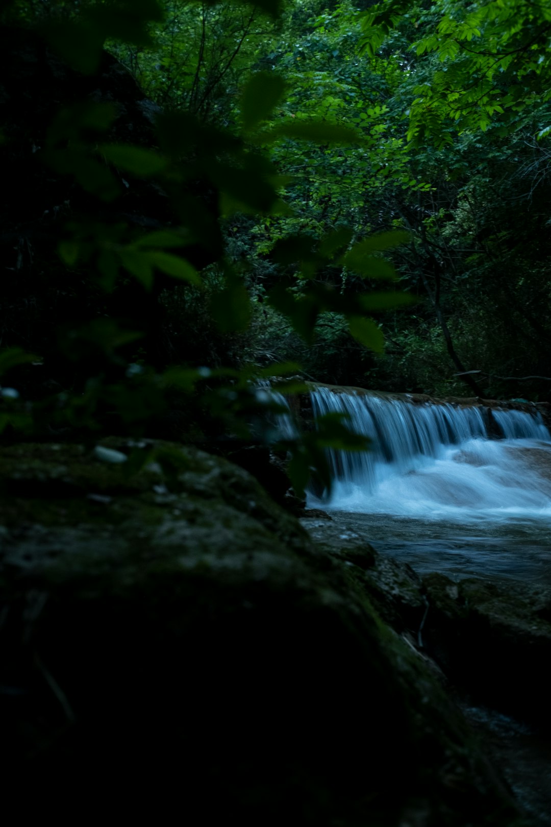 water falls in the middle of green trees