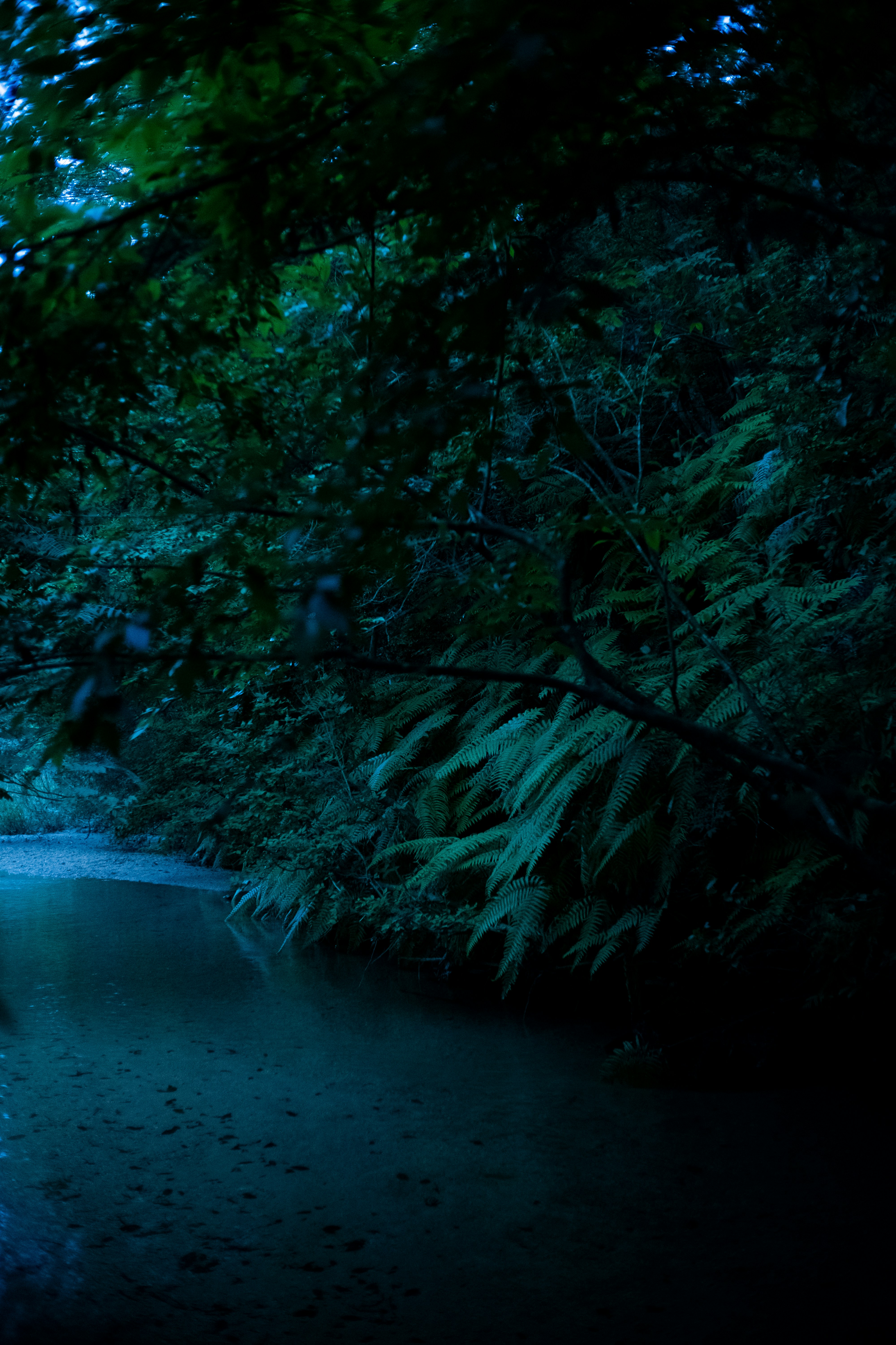 Photo by bubgraphics