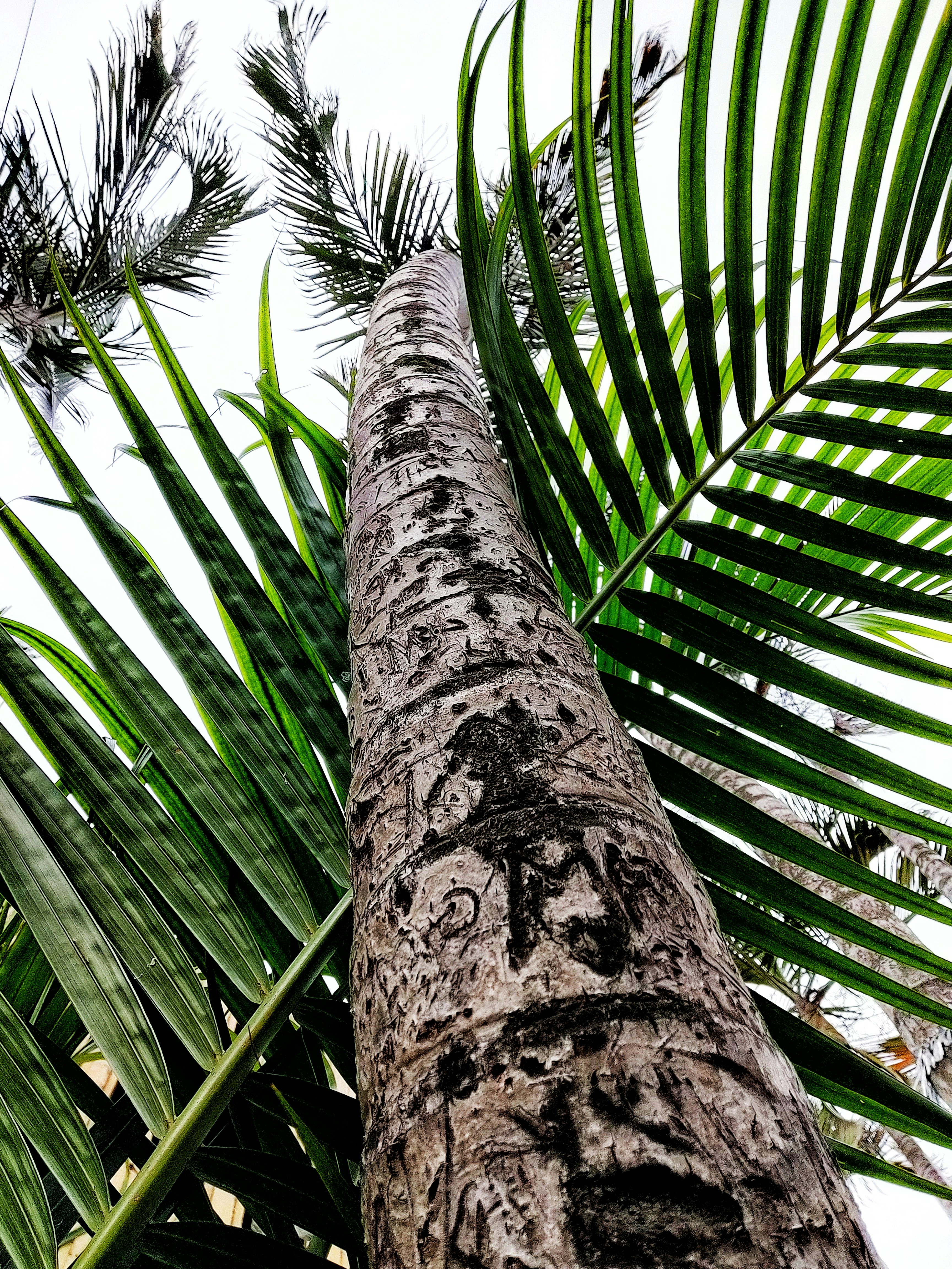 Photo by mubarak_maddy