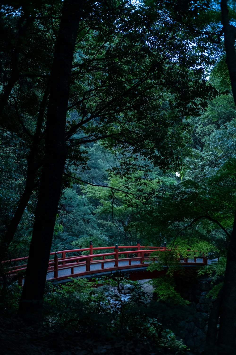 red bridge over green trees