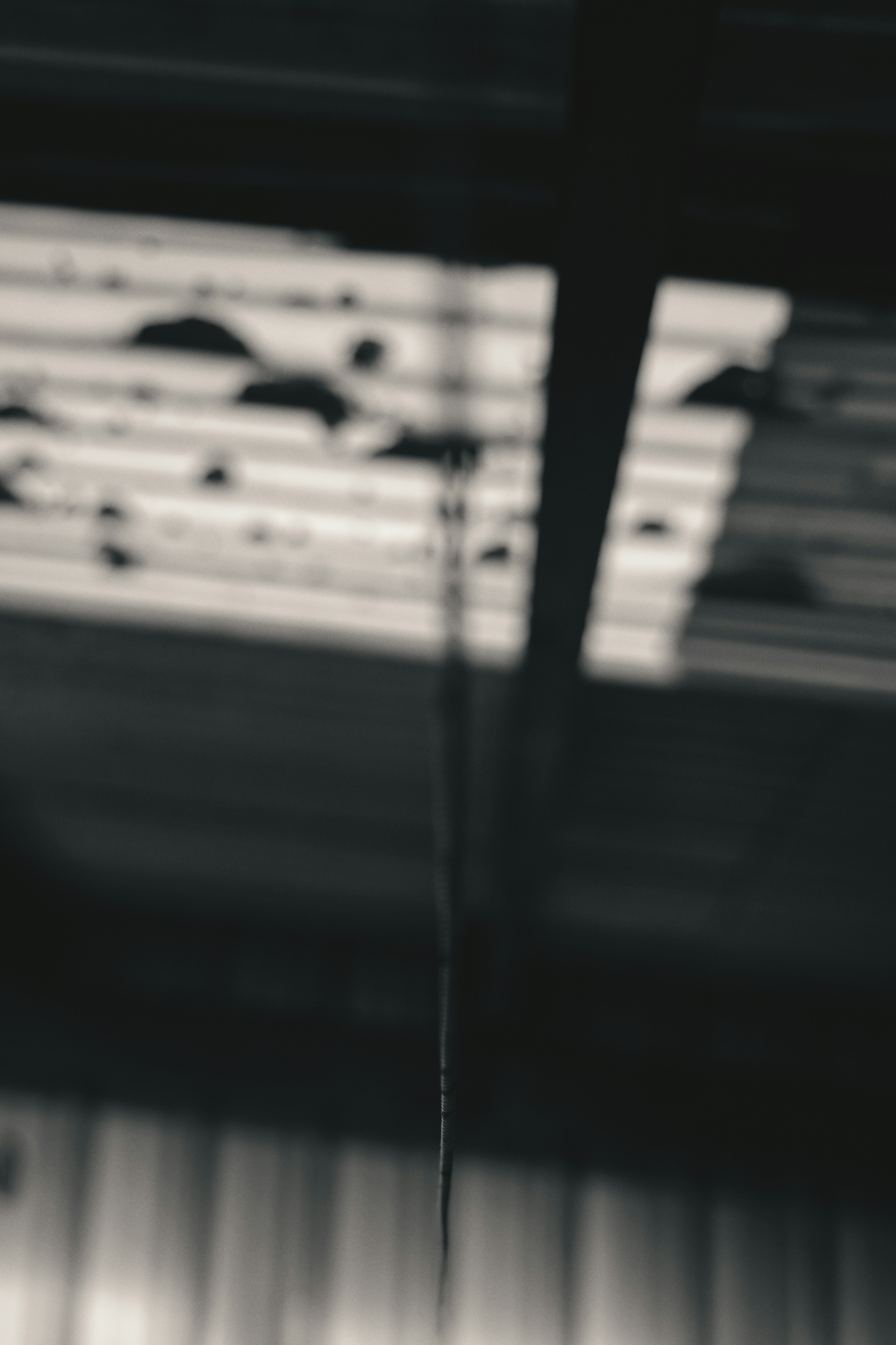 Foto Notas musicales blancas y negras Imagen Australia gratis en Unsplash