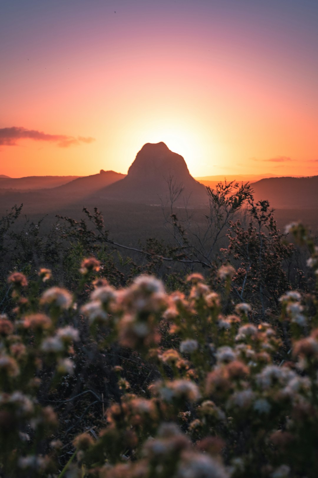 Travel Tips and Stories of Glass House Mountains Lookout in Australia