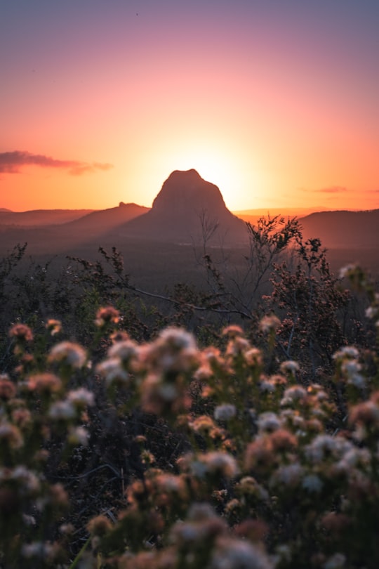 green grass field near mountain during sunset in Glass House Mountains Lookout Australia