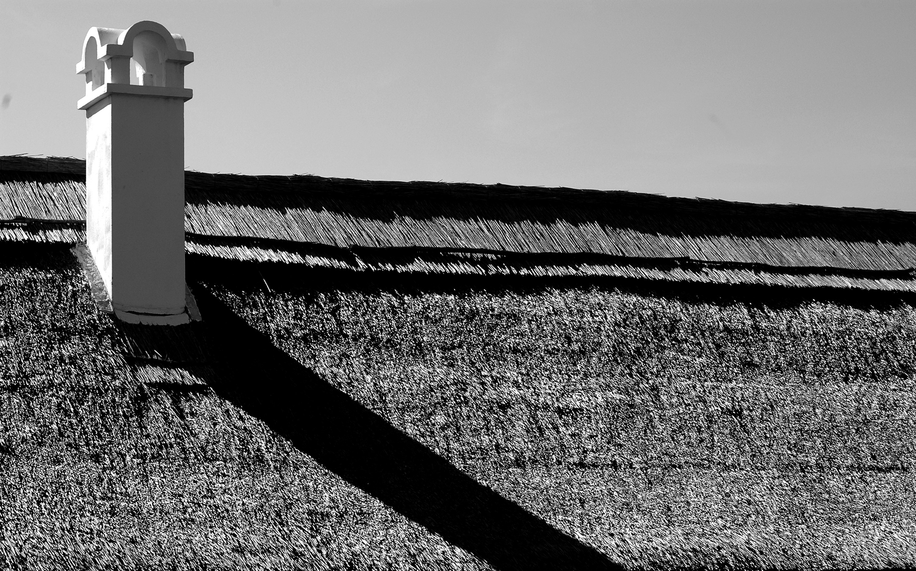 Photo by sanyaibandor