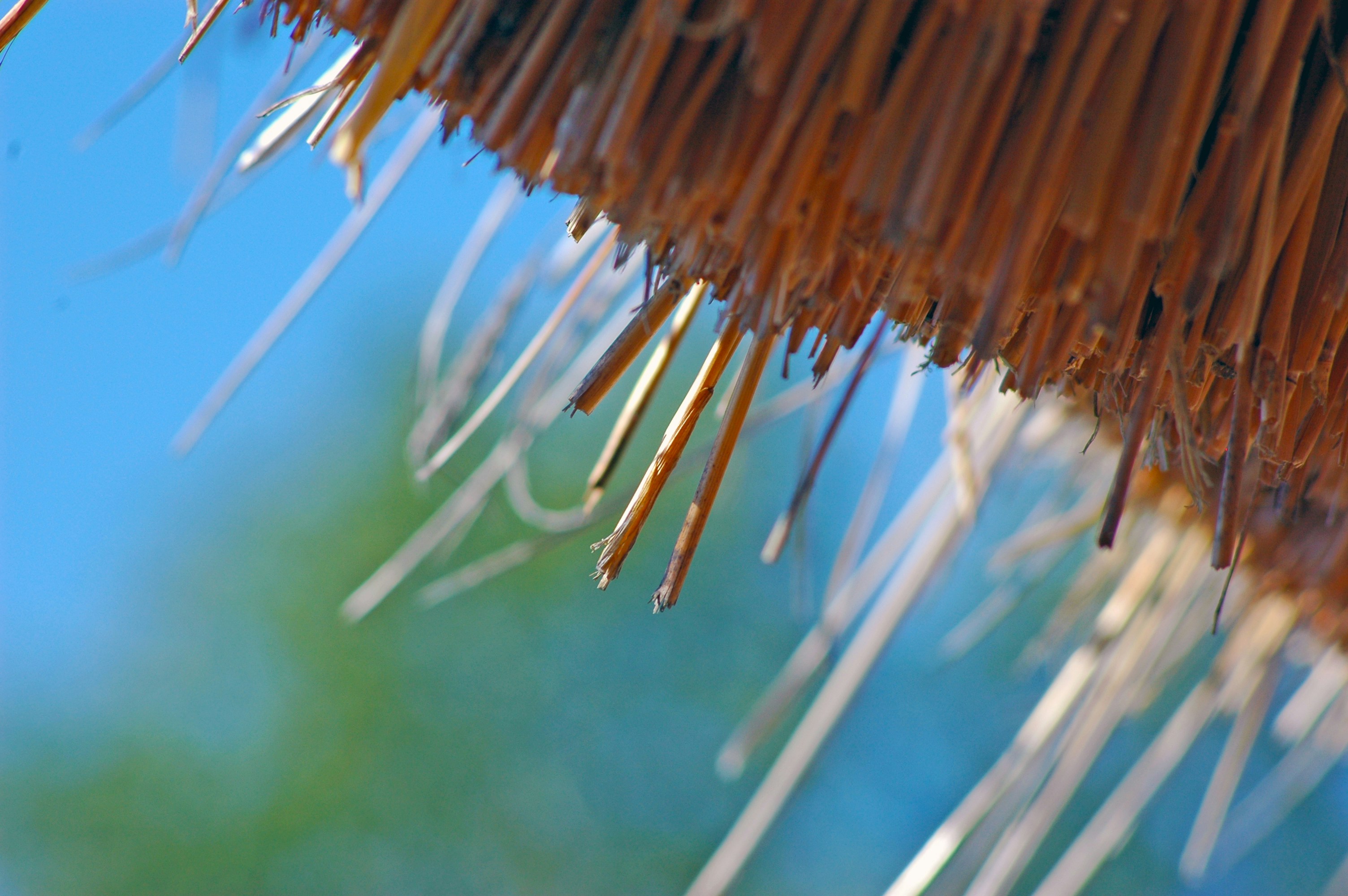 Szentendre – Transportation & Getting Around