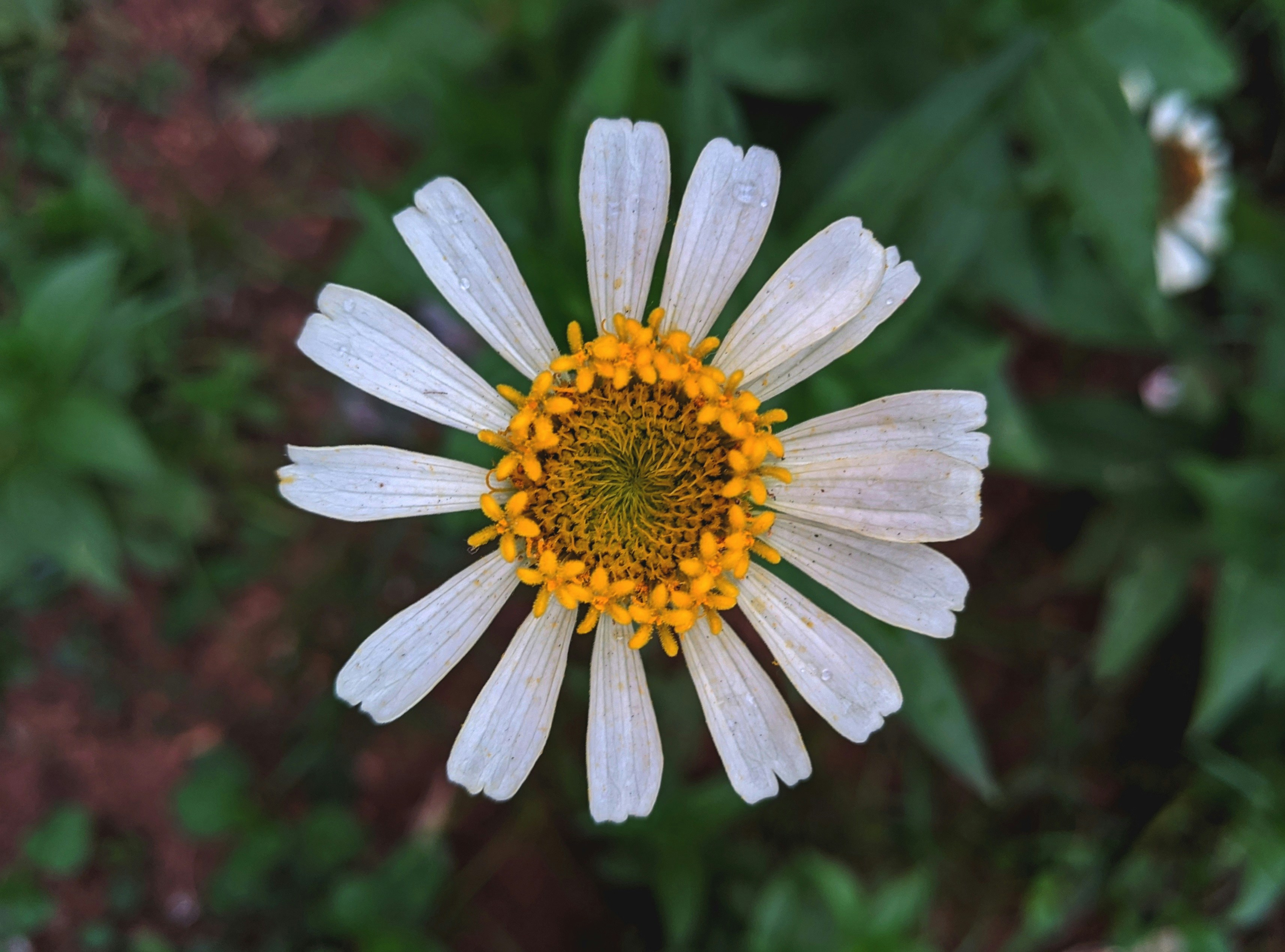 Photo by farzanleli