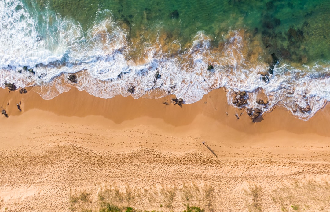 aerial view of beach during daytime