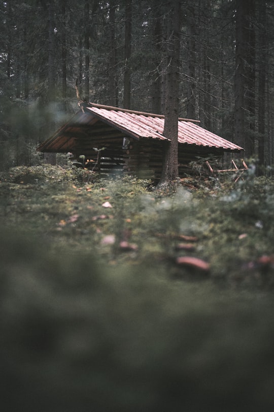 brown wooden house on green grass field in Seinäjoki Finland