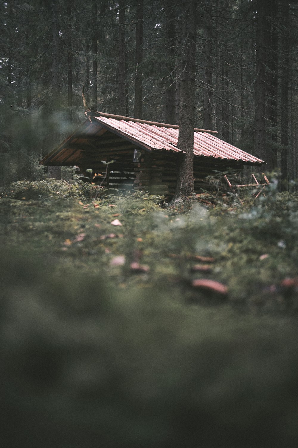 brown wooden house on green grass field