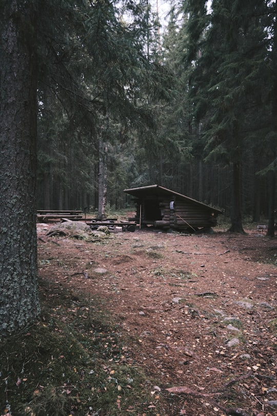 brown wooden house in the woods in Seinäjoki Finland