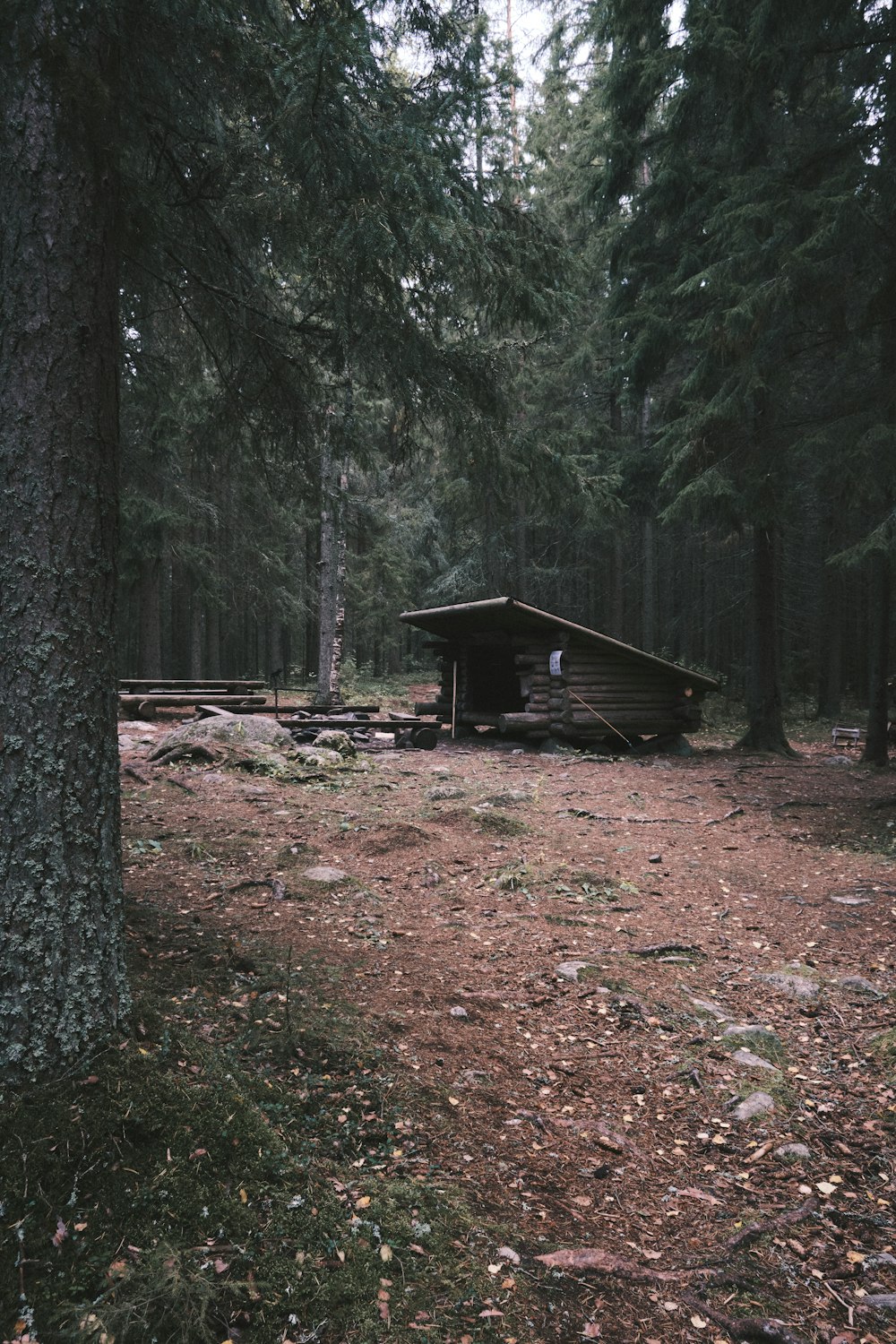 brown wooden house in the woods