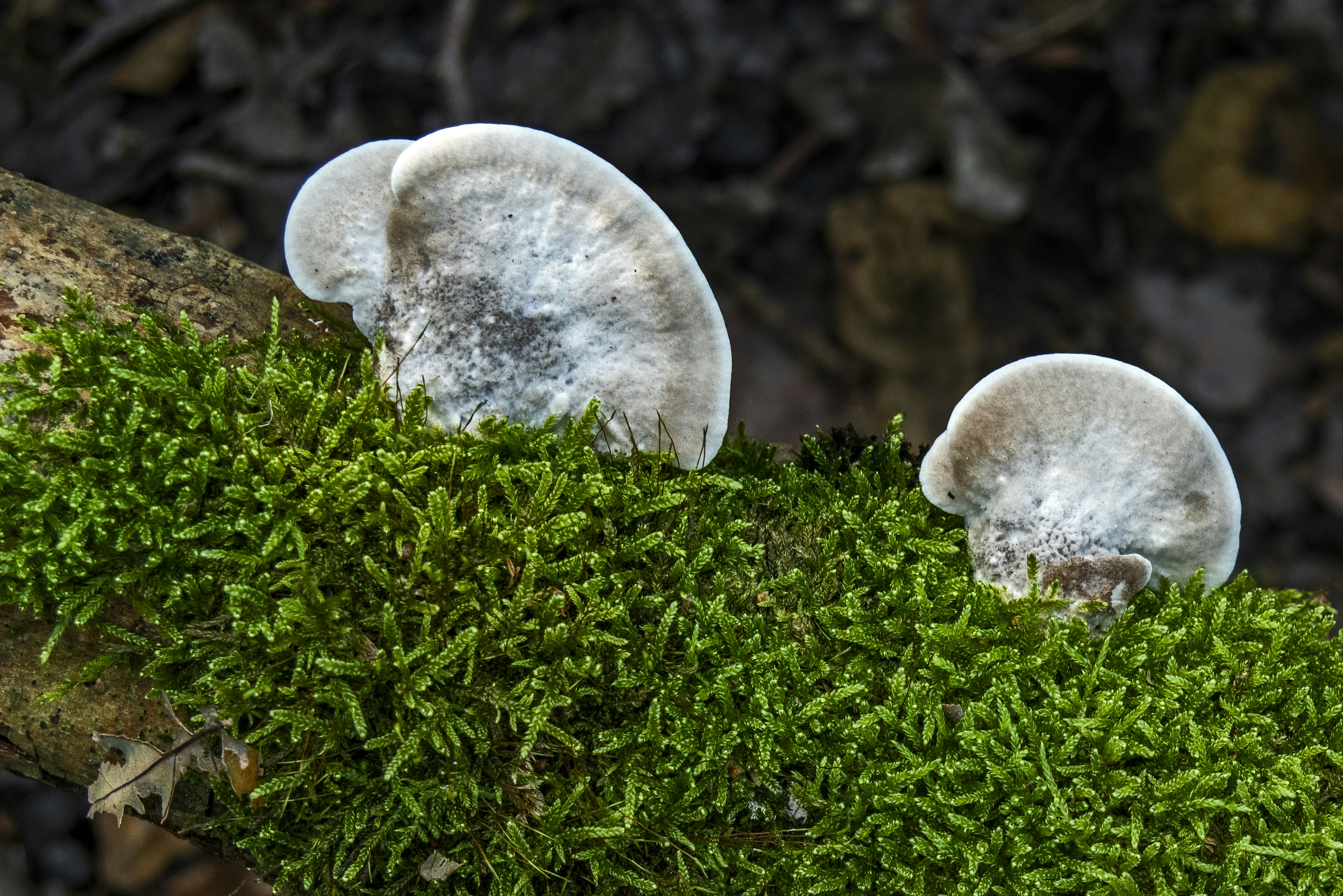 Photo by switch_dtp_fotografie