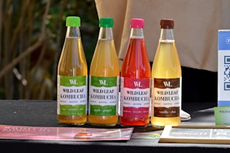 Four bottles of Wild Leaf Kombucha are lined up on a dark surface. Each bottle has a different flavor and label color: lime cucumber mint, apple ginger, raspberry lavender hibiscus, and vanilla chai. The background appears to be a natural, outdoor setting.