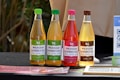Four bottles of Wild Leaf Kombucha are lined up on a dark surface. Each bottle has a different flavor and label color: lime cucumber mint, apple ginger, raspberry lavender hibiscus, and vanilla chai. The background appears to be a natural, outdoor setting.