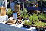 A market stall displays an array of potted herbs and plants on a table with a patterned cloth, alongside a carved wooden head sculpture. A QR code sign and some wicker baskets are also present. People are visible in the background near a chain-link fence.