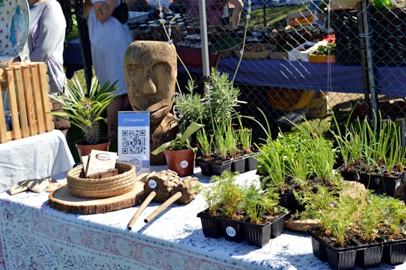 A market stall displays an array of potted herbs and plants on a table with a patterned cloth, alongside a carved wooden head sculpture. A QR code sign and some wicker baskets are also present. People are visible in the background near a chain-link fence.
