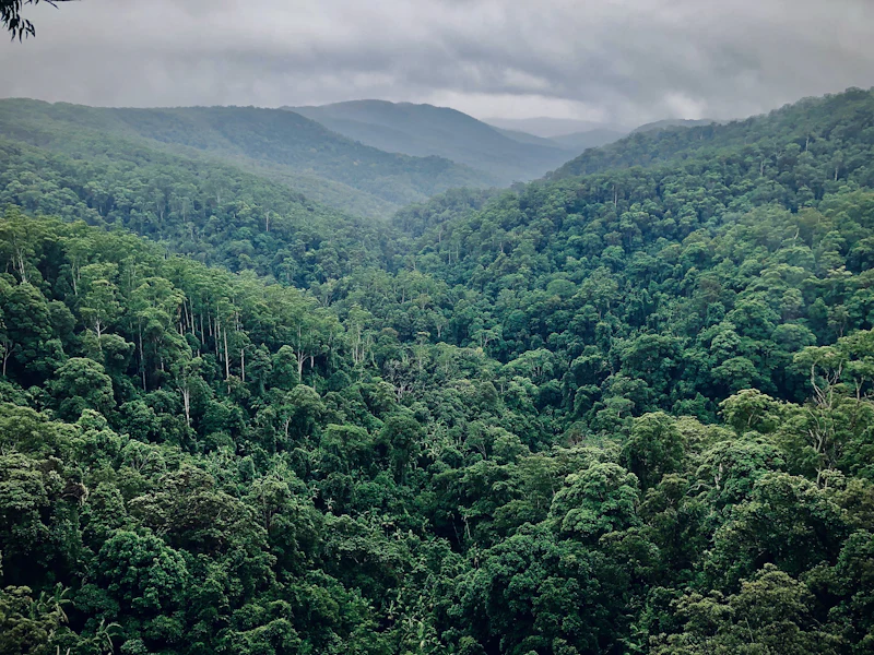 Forested mountain ridge in the Peruvian Andes