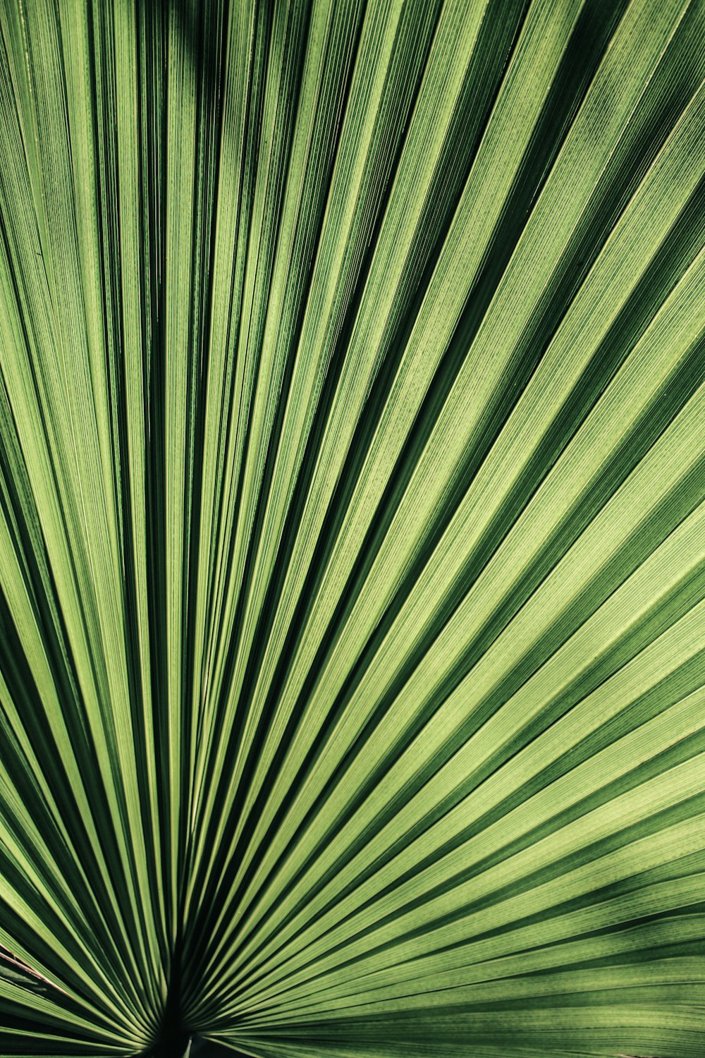 green and white striped textile