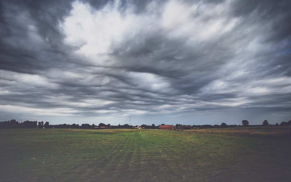 green grass field under gray clouds