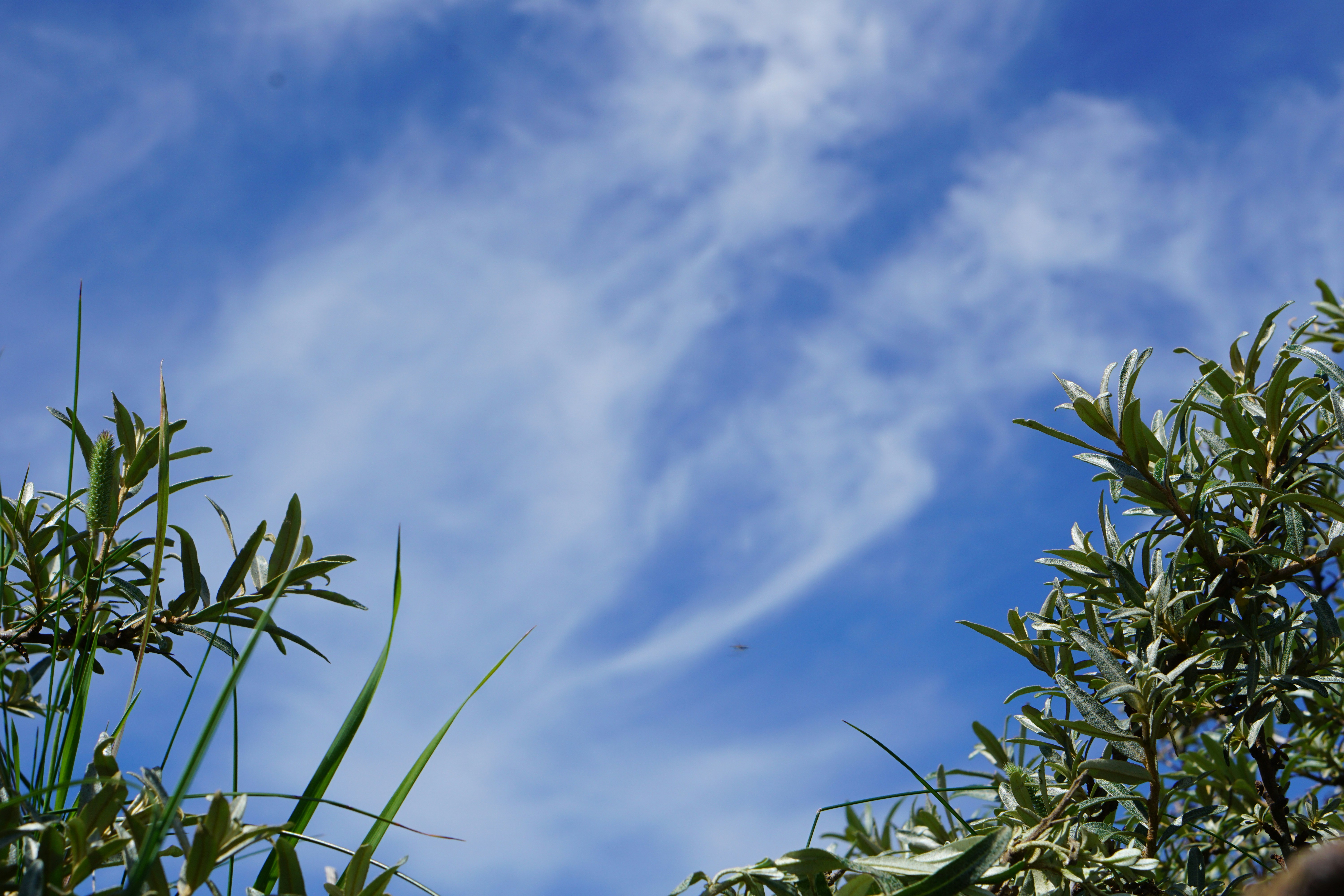 Photo by tomsteenjensen