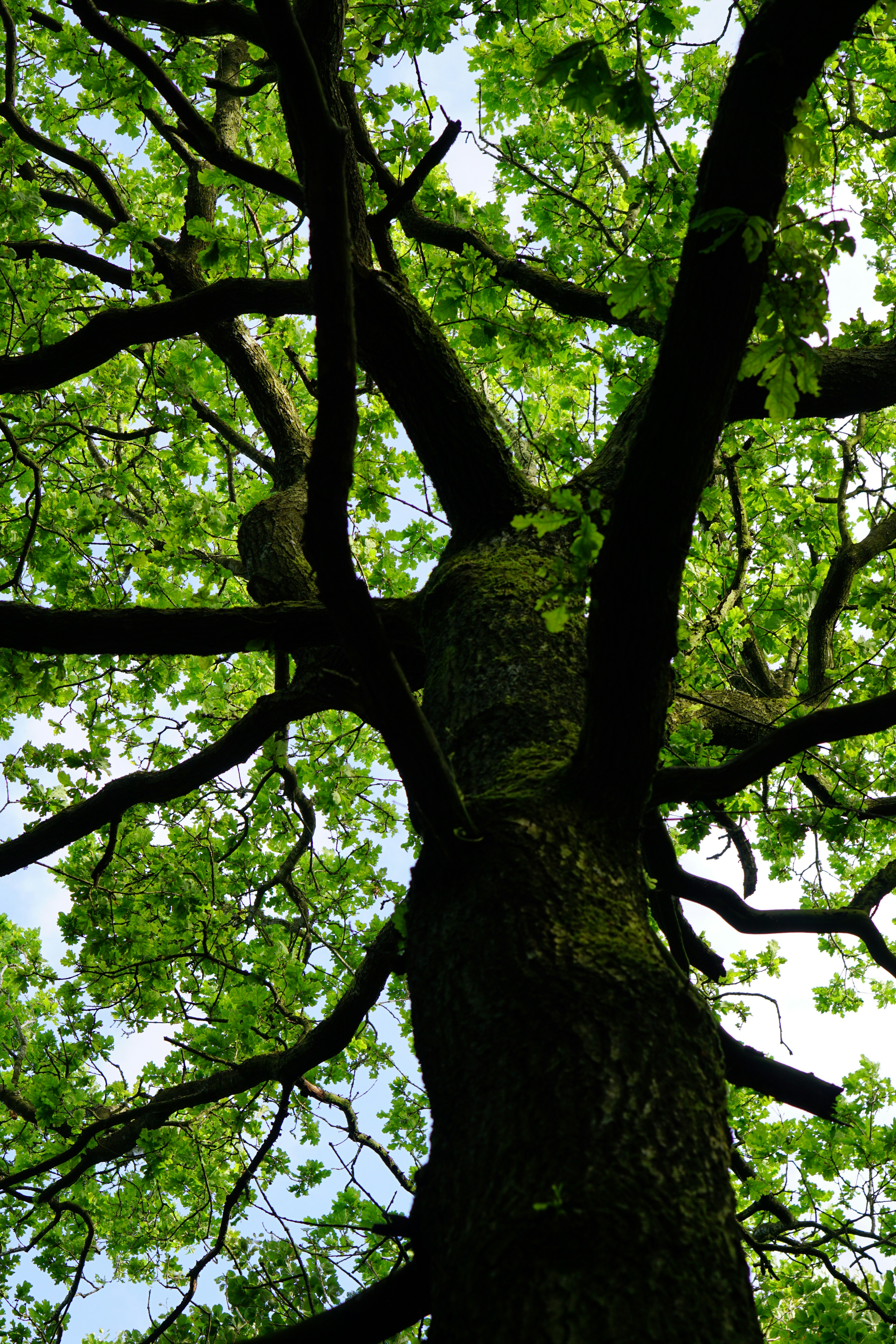 Photo by tomsteenjensen