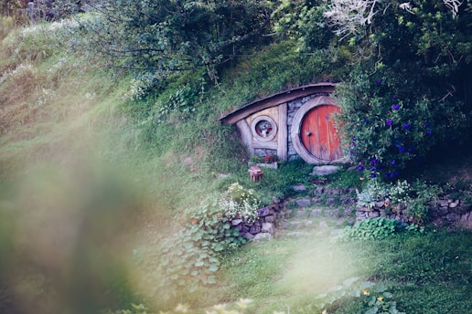 brown wooden house on green grass field