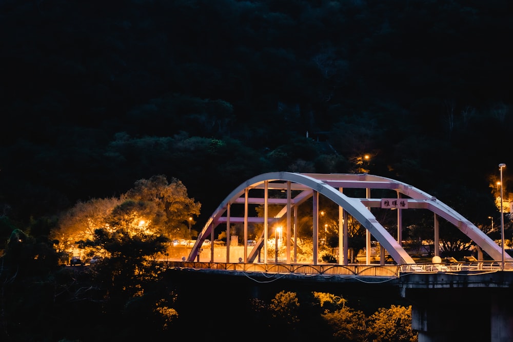 white metal bridge over river during night time