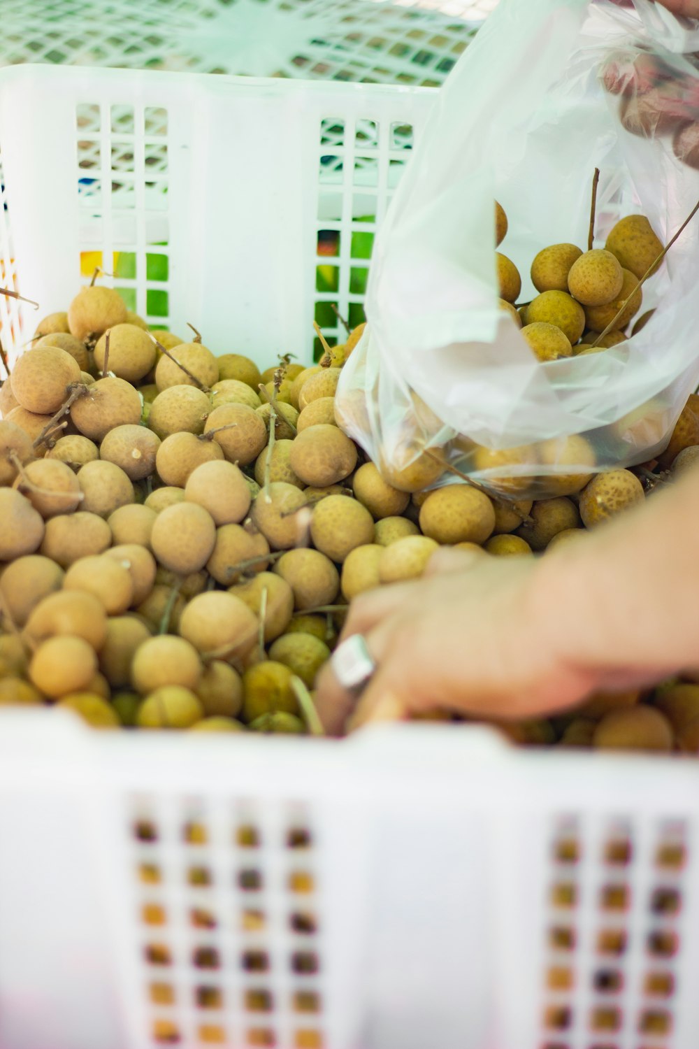 green round fruits on white plastic container