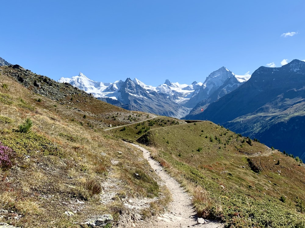 Champ d’herbe verte près des montagnes enneigées sous le ciel bleu pendant la journée