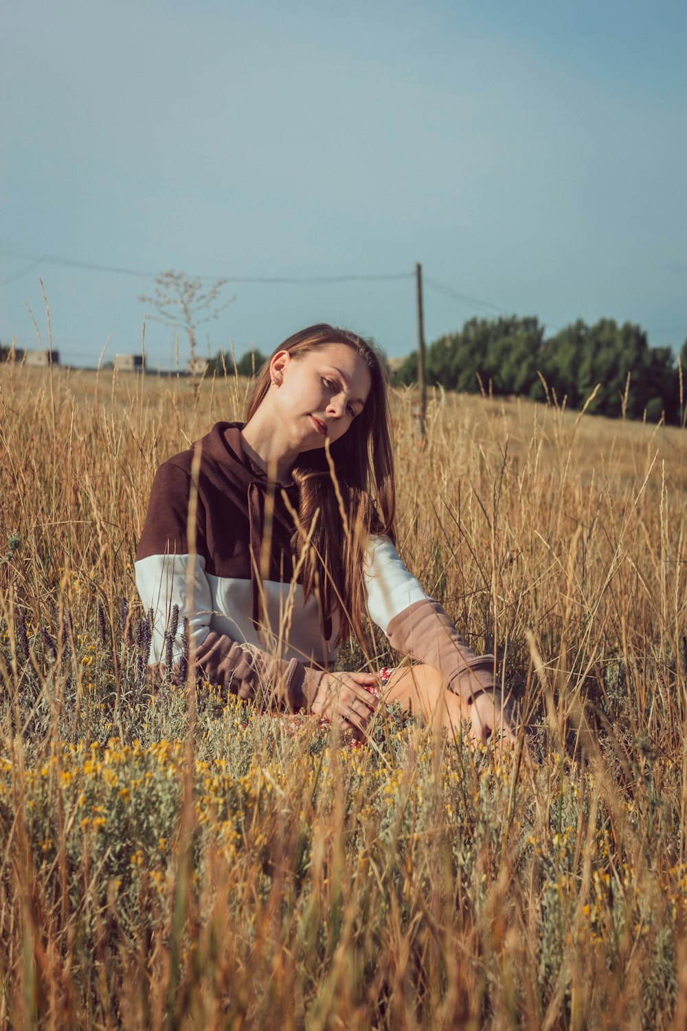 woman in brown and white long sleeve shirt sitting on brown grass field during daytime