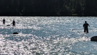 Athletes crossing a rugged river during a Bahia adventure race at sunrise.