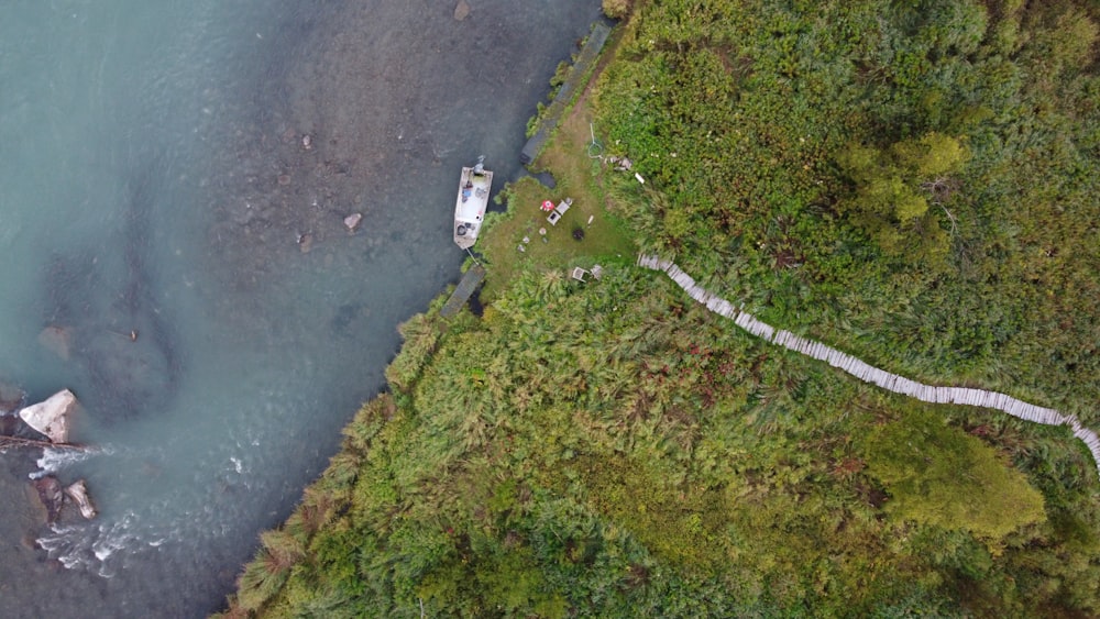 Campo de hierba verde cerca del cuerpo de agua