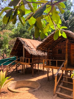 A rustic wooden structure with an elevated platform, featuring bamboo and thatch materials under the shade of large green leaves. The surroundings include lush vegetation and sandy ground, creating a natural, serene setting.