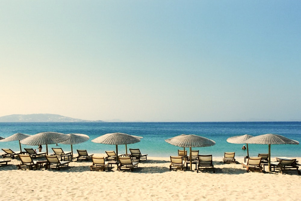 white and blue beach chairs on beach during daytime