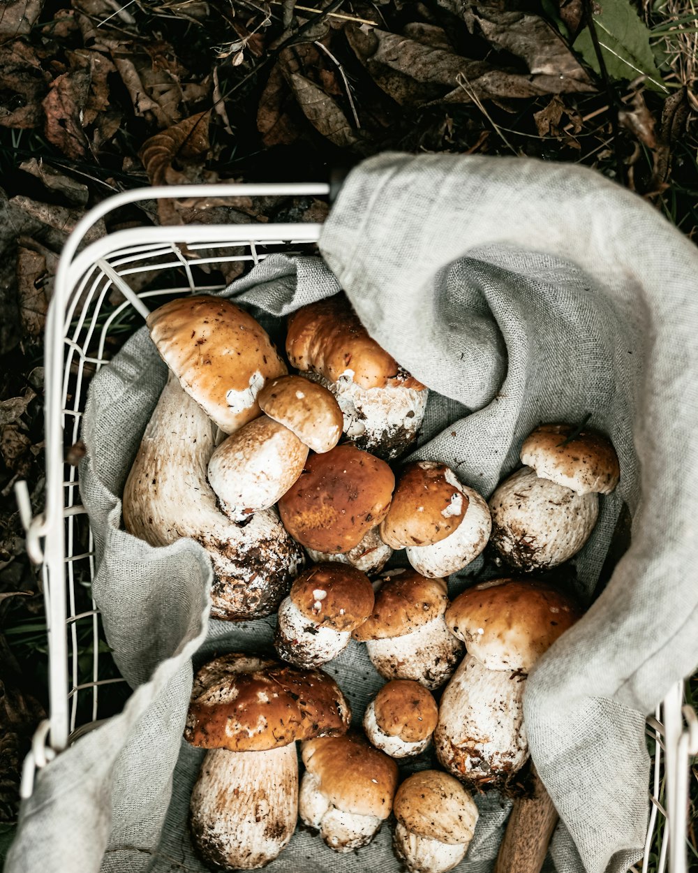 brown and white mushrooms on white metal rack