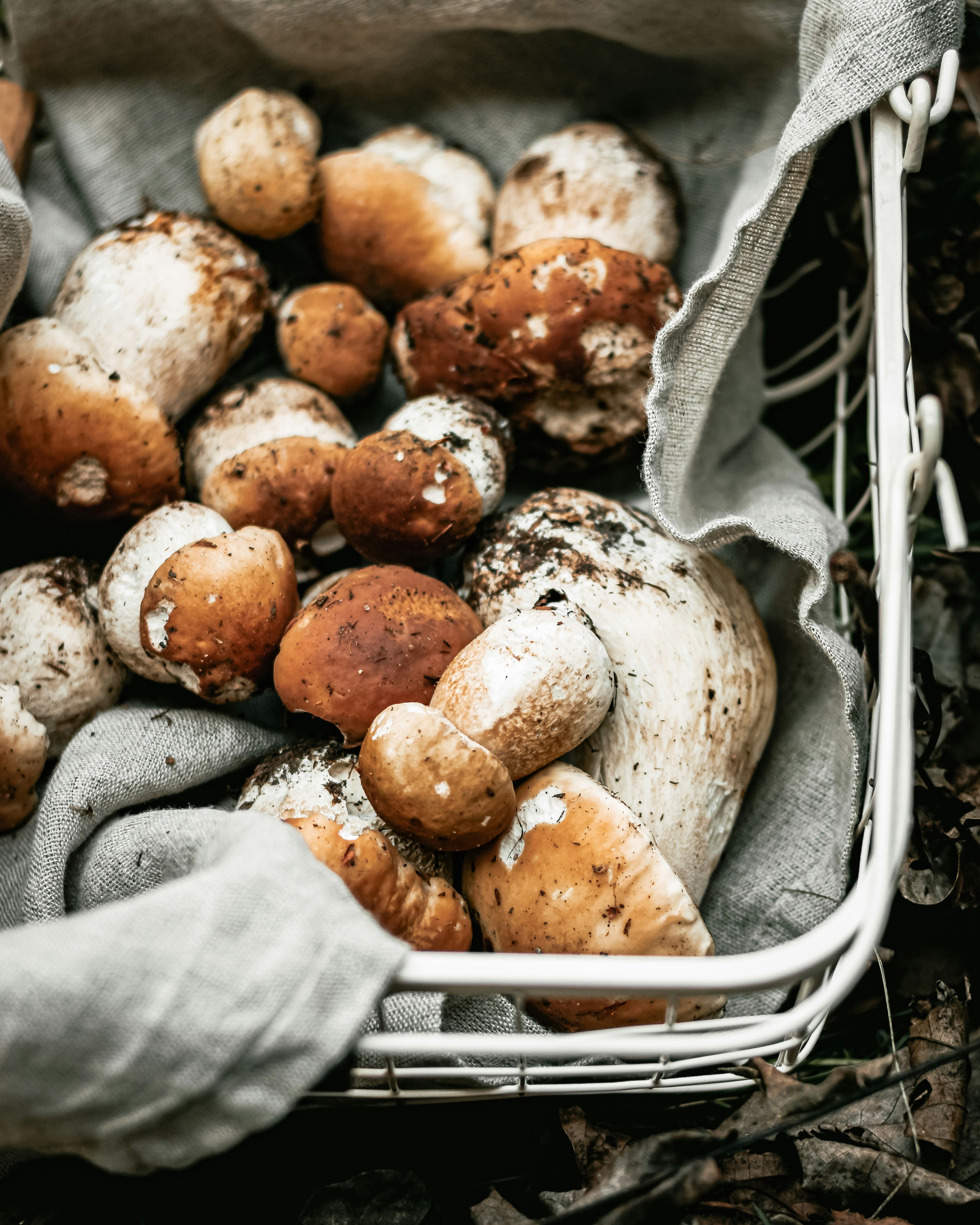 Photo by kekse_und_ich