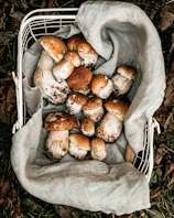 Baskets filled with assorted button and milky mushrooms ready for market