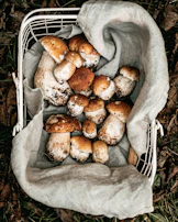 A basket overflowing with assorted fresh mushrooms, showcasing their natural textures.