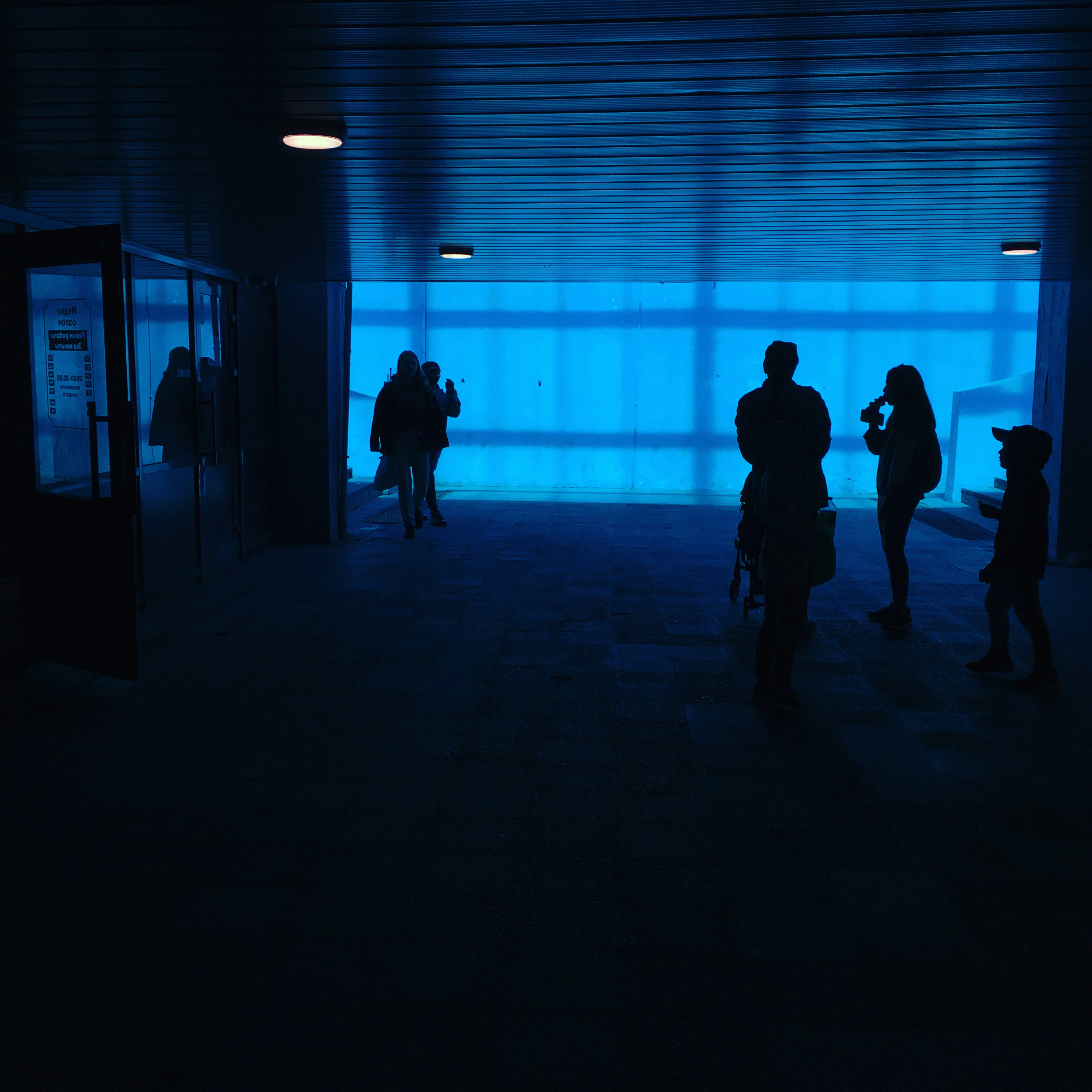 silhouette of people walking on hallway