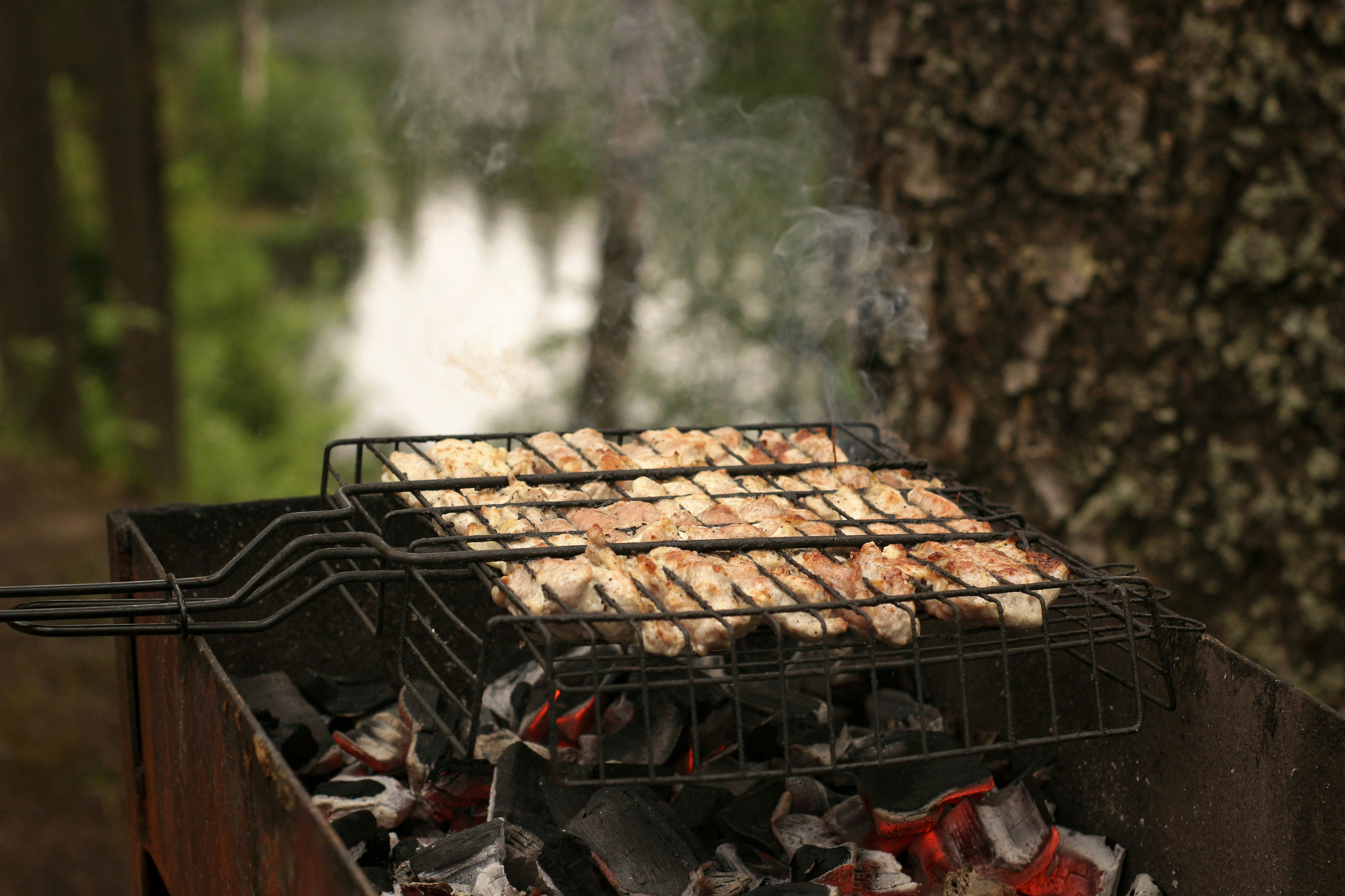 Close up of grilled chicken skewers with charcoal smoke, dark atmospheric kitchen background
