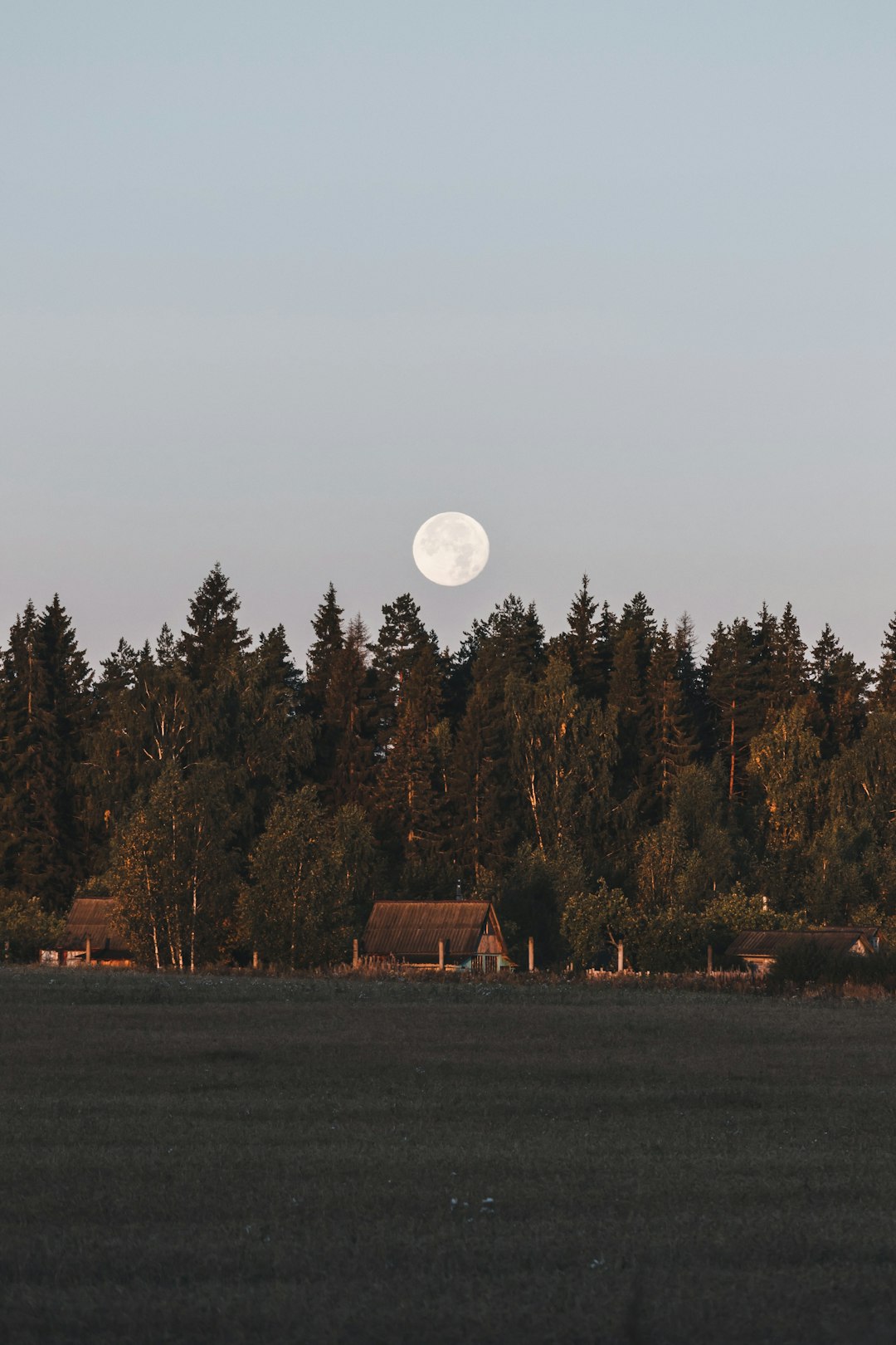 brown wooden house near green trees under white sky during daytime