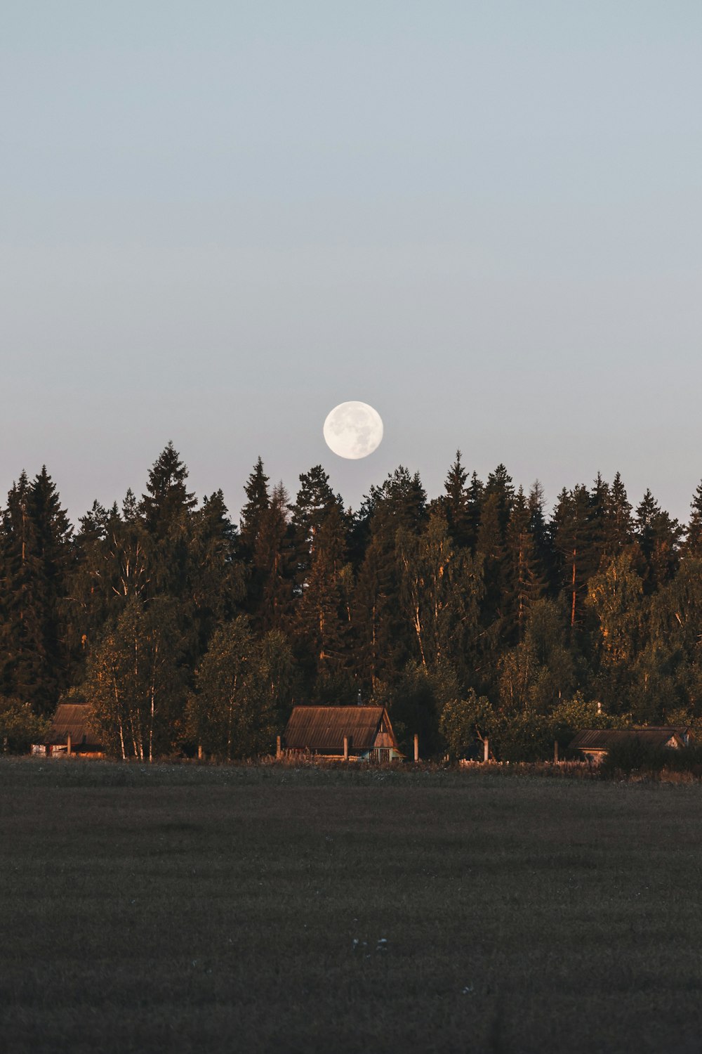 Braunes Holzhaus in der Nähe grüner Bäume unter weißem Himmel tagsüber