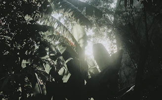 Vibrant in-game environment showcasing lush landscapes and dynamic lighting effects.