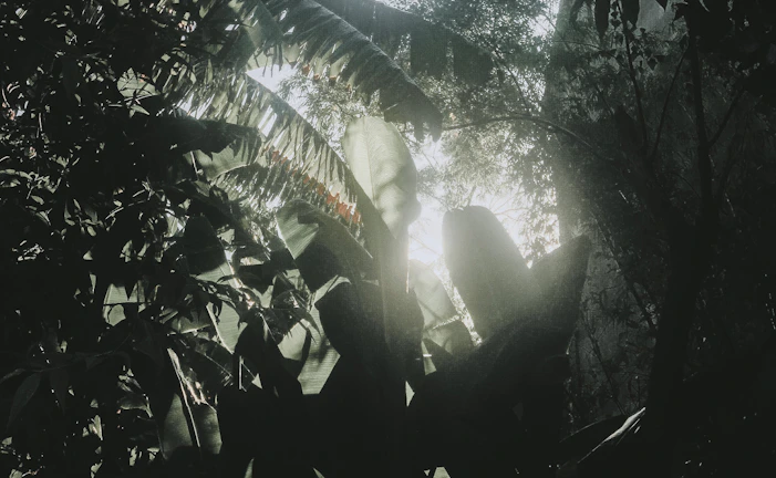 An imaginative 3D environment scene with lush greenery and dynamic lighting effects.