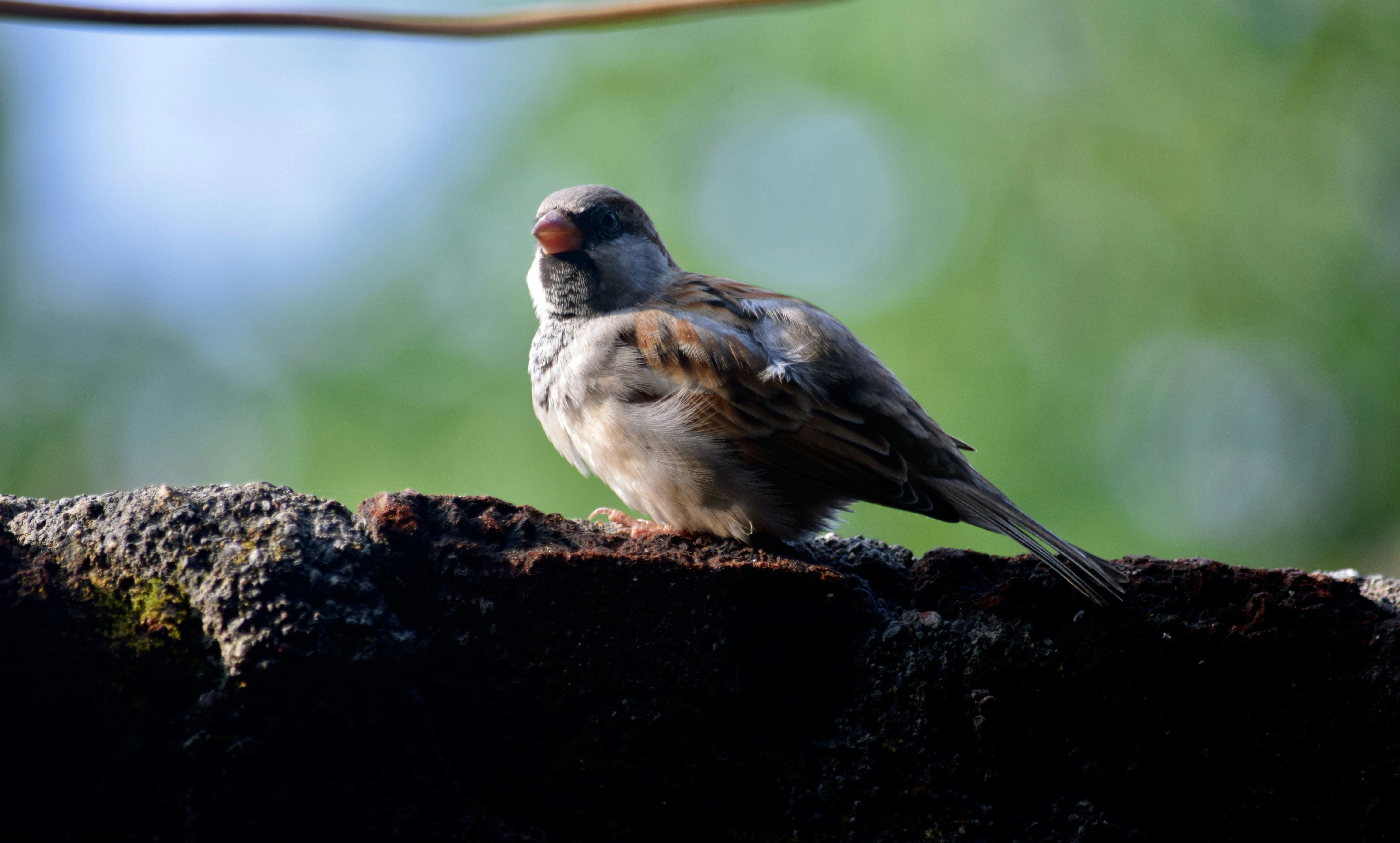 Photo by rrajputphotography